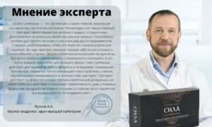 Sila-Suleymana-Kupit-v-Voronezhe-Mnenie-eksperta