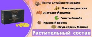 Sila-Suleymana-Kupit-v-Voronezhe-Sostav-preparata-Sila-Suleymana